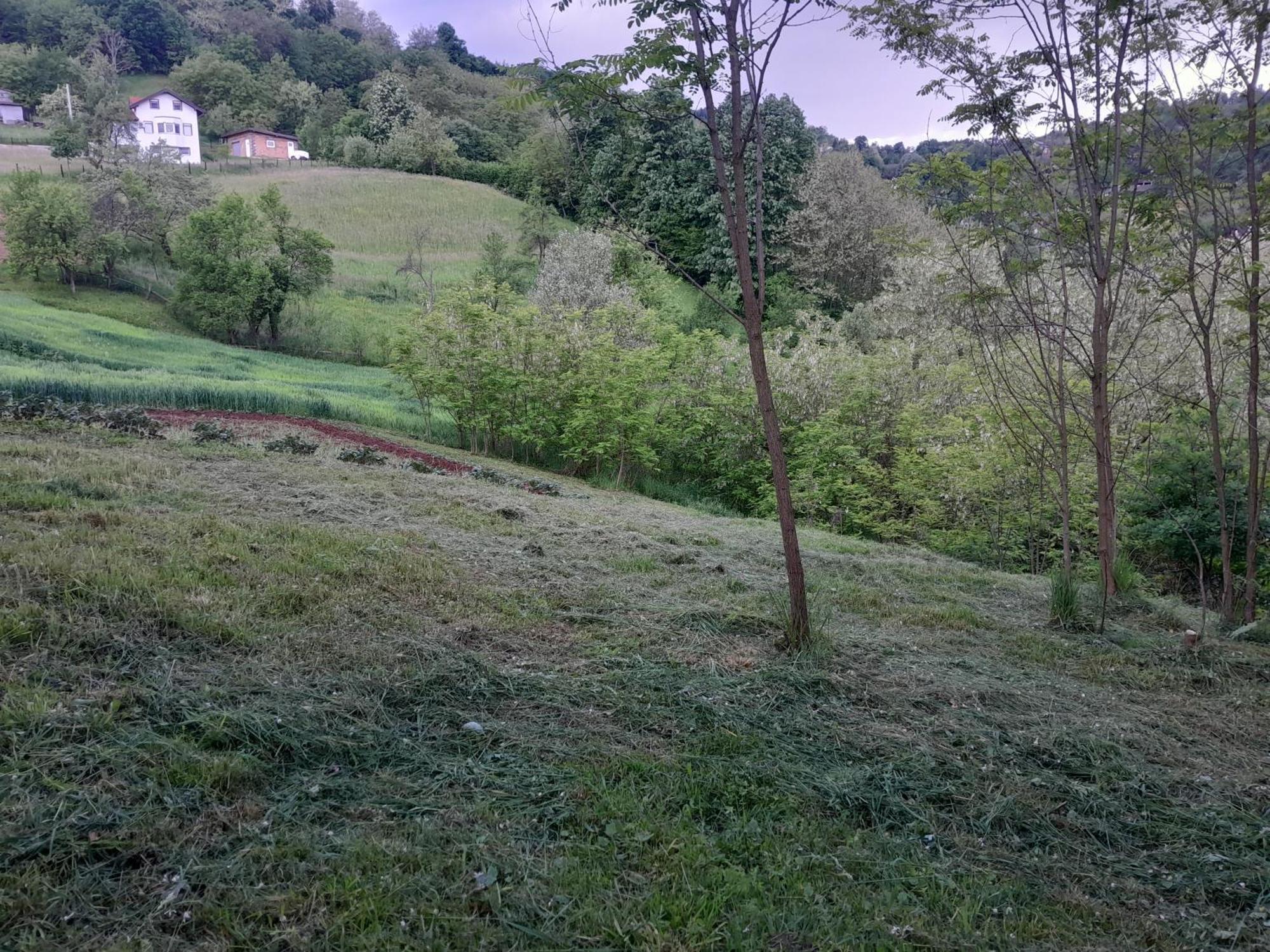 Dolores Tesanj Esterno foto