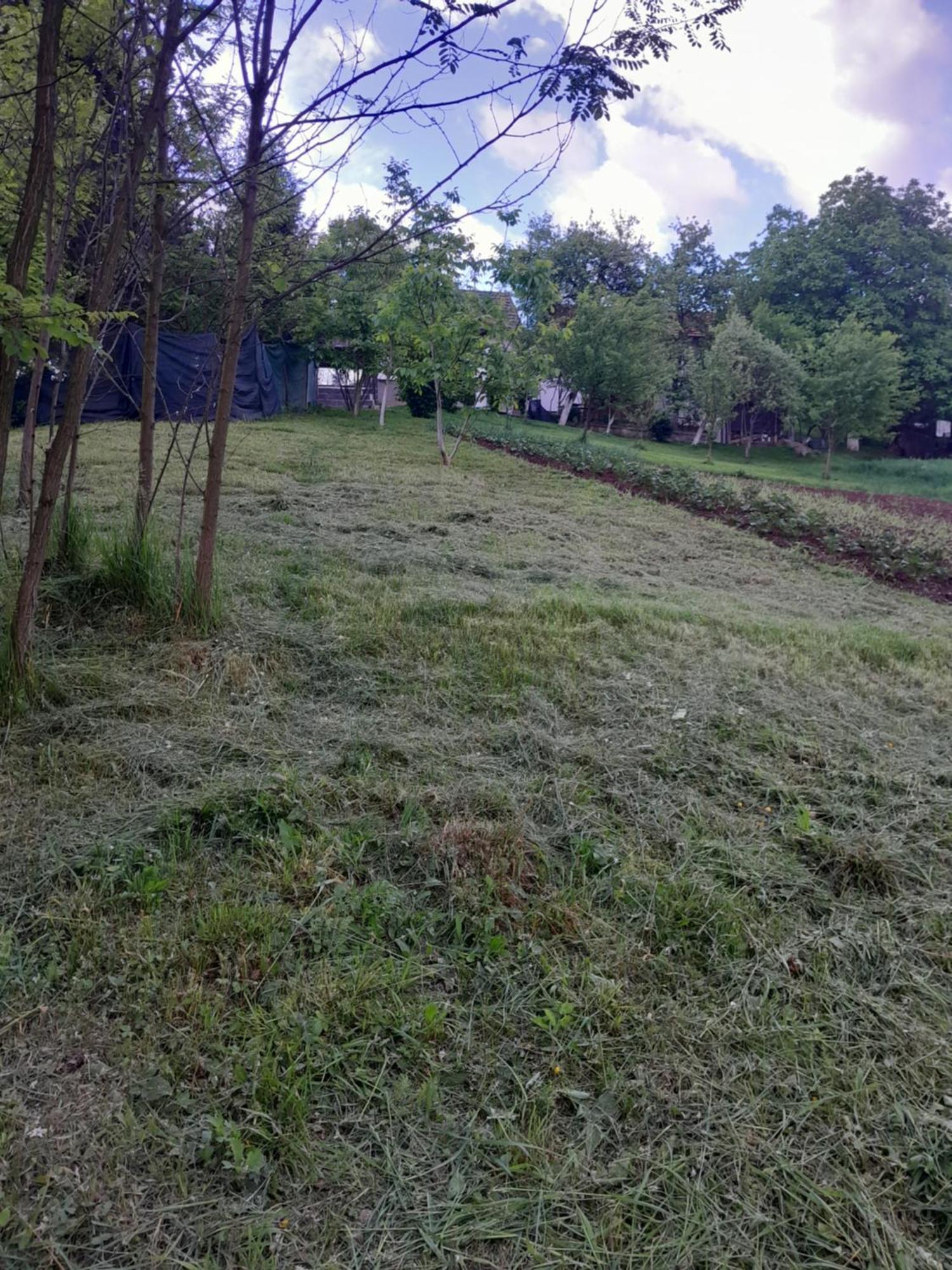 Dolores Tesanj Esterno foto