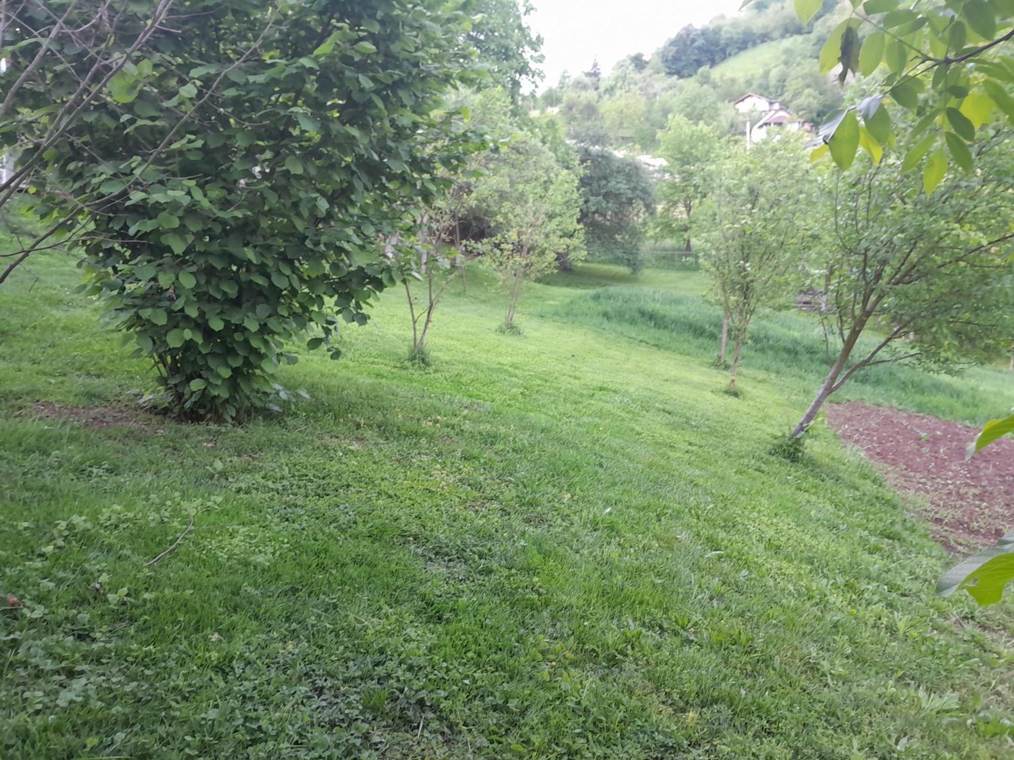 Dolores Tesanj Esterno foto